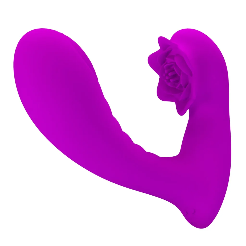 Product View 4