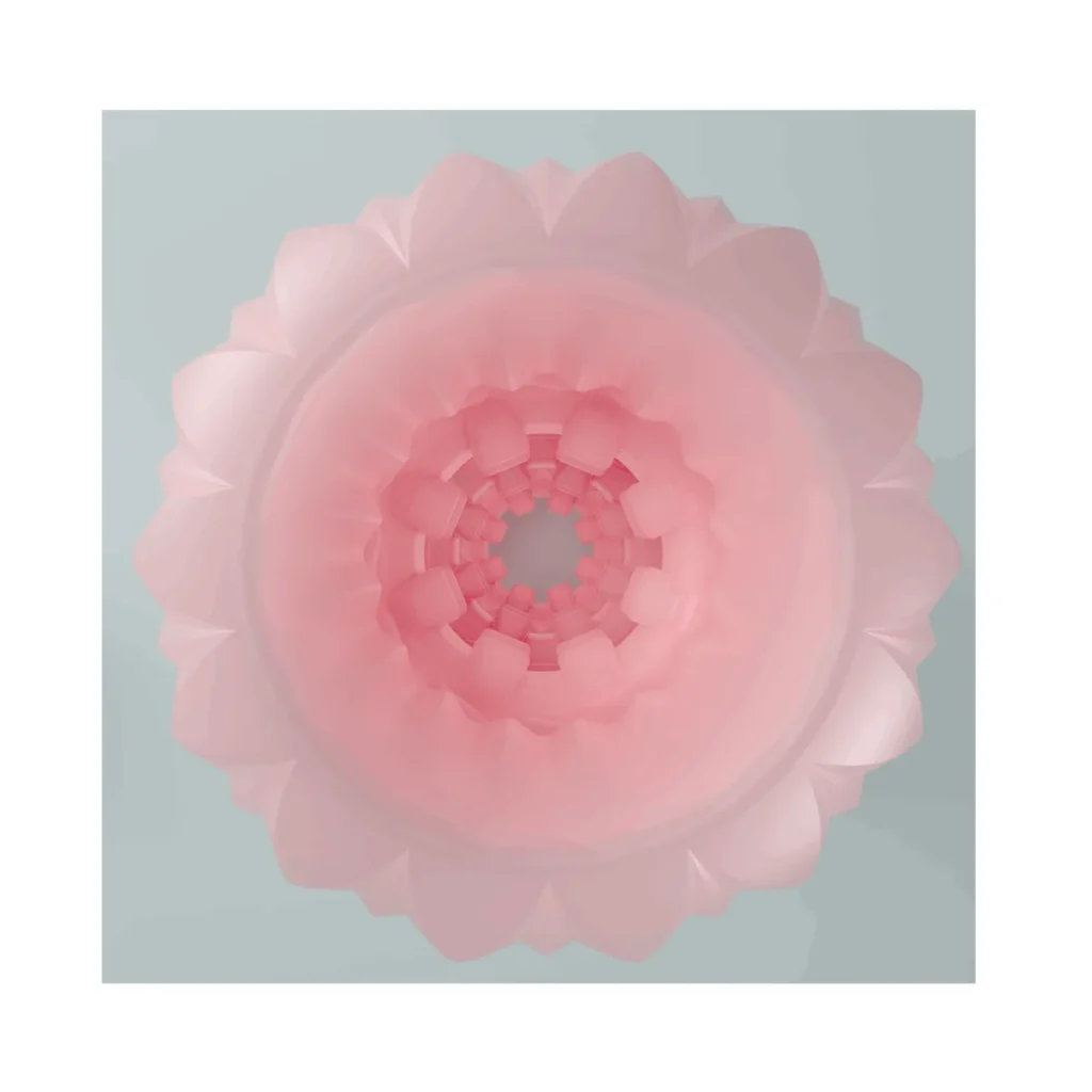 Product View 5