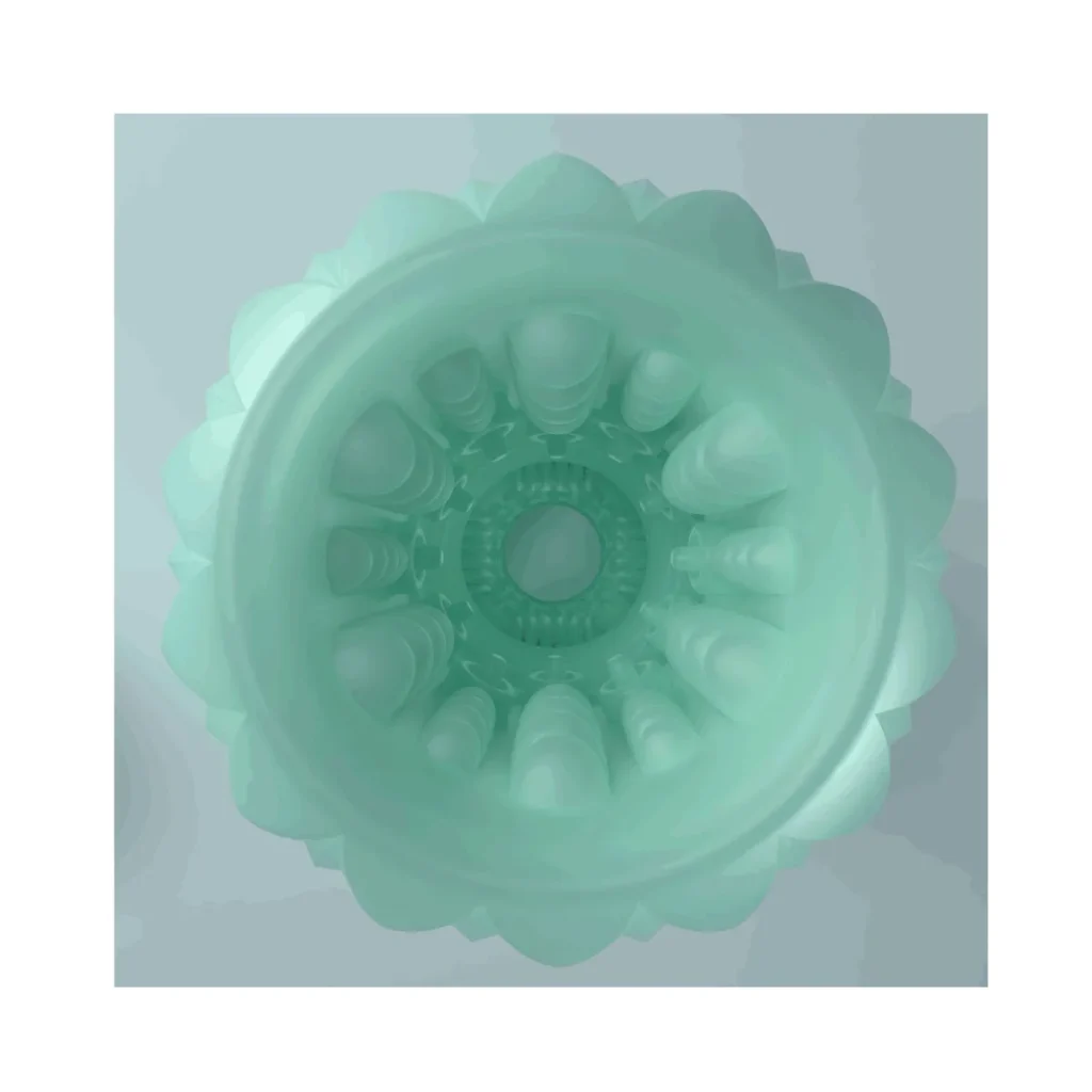 Product View 5