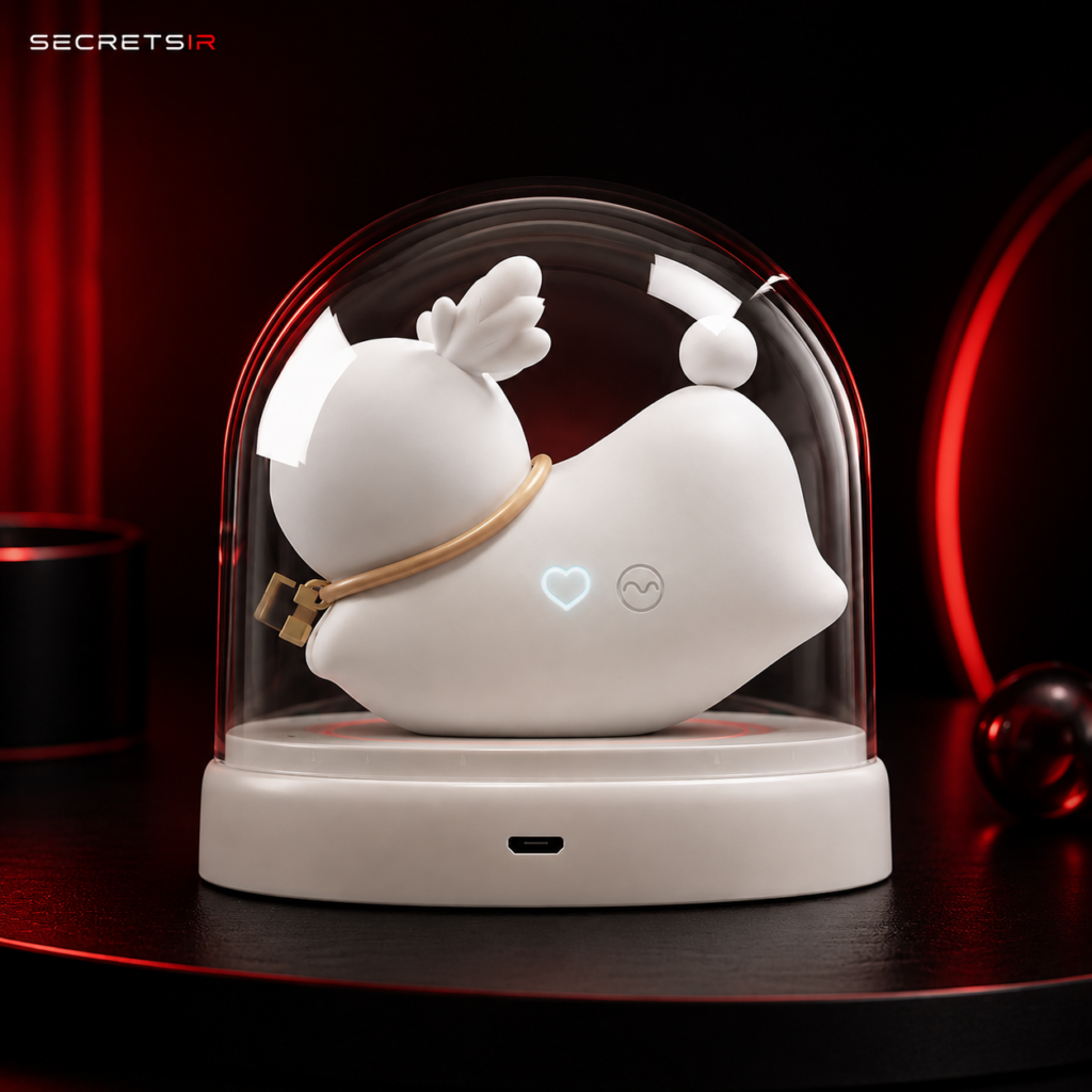 Product View 5